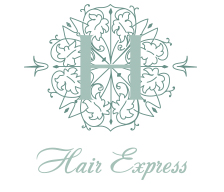 Hair Express and Day Spa logo